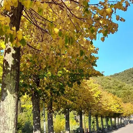 Lejlighed Agora Montecatini Val di Cecina